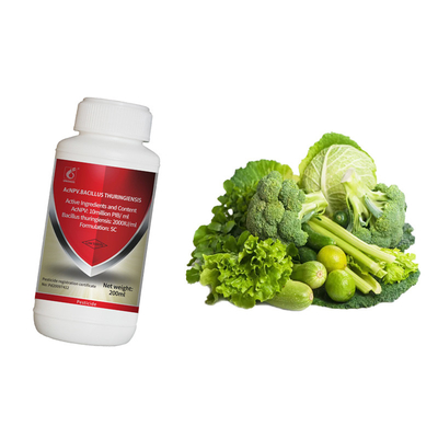 Natural Organic Insect Viral Pesticide AcNPV &Bt SC for Brassicaceous Vegetable Autographa California NPV Biopesticide