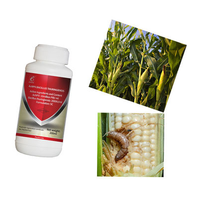 Organic Certified AcNPV & Bt SC Biological Insecticide for Spodoptera Exigua with No Residue