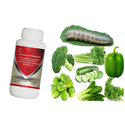 Biological Pesticide Organic Pesticide with 10 million PIB/mL AcNPV + 2000IU/mL Bt No Residue Effective Against Spodoptera exigua