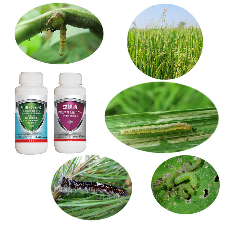 2.4 Emamectin Benzoate Bt Corn Borer Pesticide Insecticide For Paddy Crop