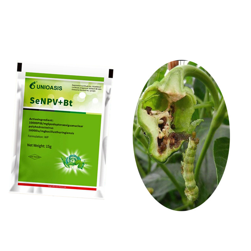 Unbeatable Fall Armyworm Control in Maize Liquid Formulation for ...