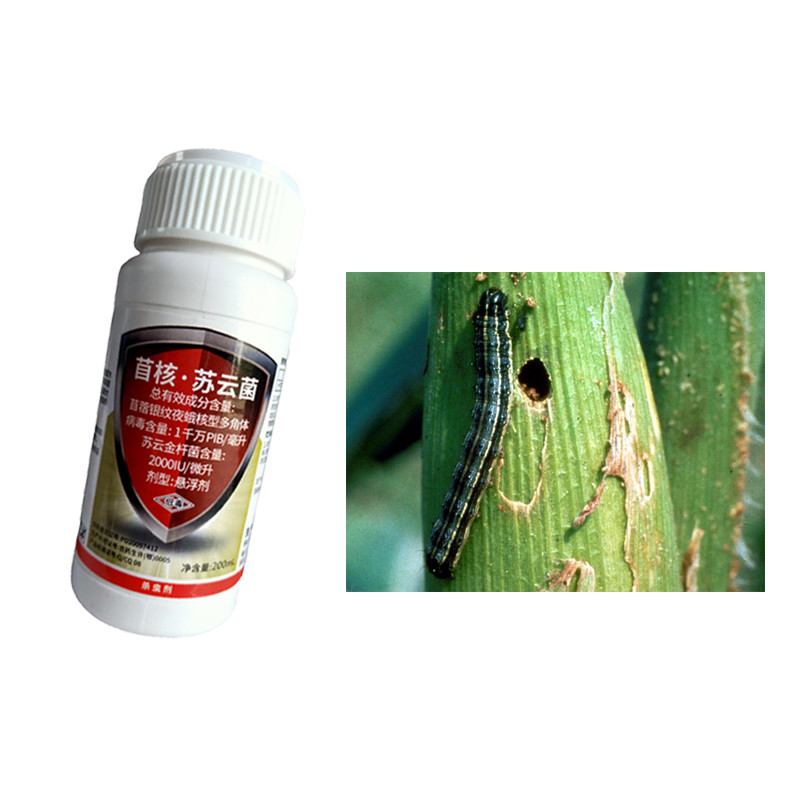 Liquid Fall Armywrom / Fall Armyworm Classification For Pest Control ...
