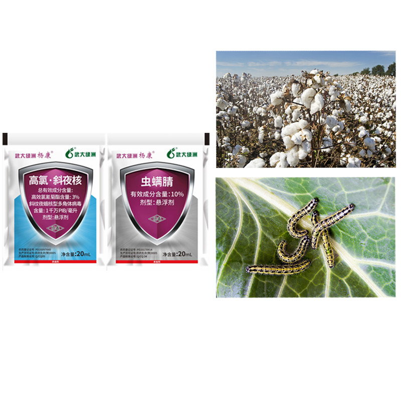 Biochemical Sweet Corn Earworm Insecticide Spray High Effective Insect