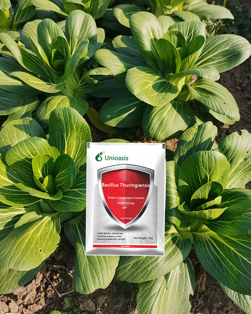 Microbial Non Toxic Plant Insecticide Bacillus Thuringiensis Btk 32
