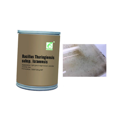 Mosquito Larvae Killer 1200ITU/mg BTi Kill Wiggler Roof Gutters Drains Ponds Water Features