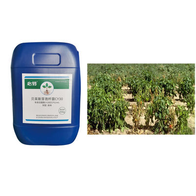 Various customized specifications Fungicide Bacillus Velezensis Improve Soil Microbial Flor CY30