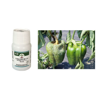CY30 Bacillus Velezensis relieve rotten roots dead plants stiff seedlings yellowing of solanaceous fruits melon garlic.