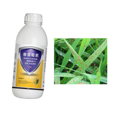 Kasugamycin manage potato black leg cure wound repair function rice fruits vegetables