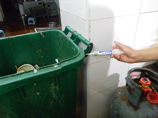 kill cockroaches in the house kill cockroaches eggs kill cockroaches fast naturally cockroach killer gel how to use
