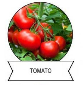 Organic pest control for tomatoes cauliflower SeNPV bacillus thuringiensis for worm control