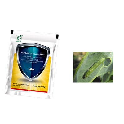 Organic Pesticide with 2 Years Shelf Life and No Residue for Cabbage Worm Control