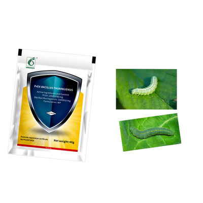 Organic Pesticide with 2 Years Shelf Life and No Residue for Cabbage Worm Control
