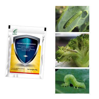 SC Formulation Biological Insecticide for No Residue Long-Lasting Pest Prevention with 2 Years Shelf Life