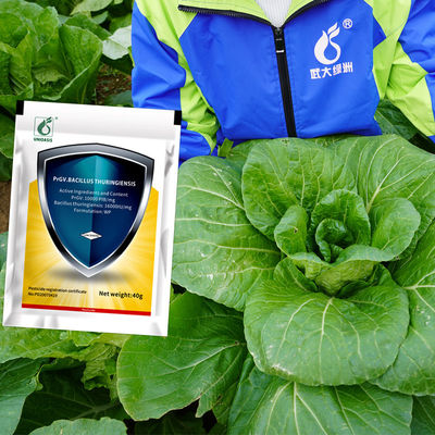 SC Formulation Biological Insecticide for No Residue Long-Lasting Pest Prevention with 2 Years Shelf Life