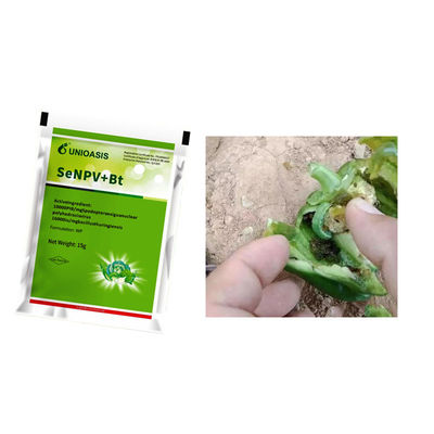 Natural Organic Pesticide Biological Insecticide Effective Against Fall Armyworm and Compatible With Other Pesticides