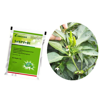 Natural Organic Pesticide Biological Insecticide Effective Against Fall Armyworm and Compatible With Other Pesticides