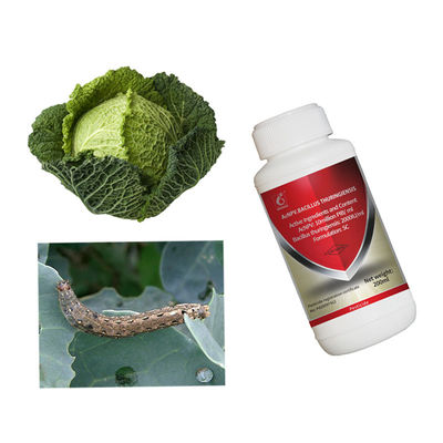 Prevent Fall Armyworm Attack on Maize AcNPV Bt Bio Pesticide Best for Vegetable Growth