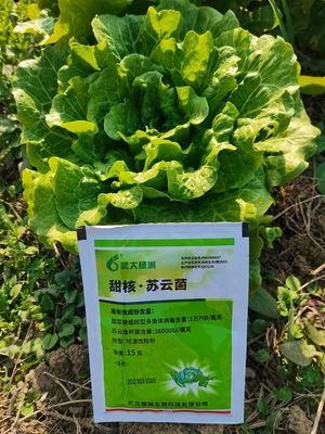 Kill Vegetable Pests Biological Pesticide for Cauliflower Broccoli SeNPV Bt Non Chemical Residue