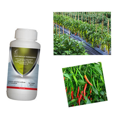 No Residue Biological Insecticide with 16000 IU/mg Active Content Compatible With Most Fertilizers for Organic Farming