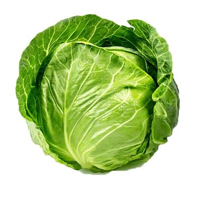 Fall Army Worm beet Army Worm caterpillar small Cabbage Moths safe healthy organic vegetable insecticide production using microorganism source for effective pest control
