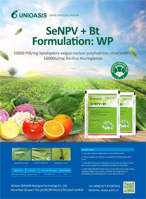 Systemic Organic Maize Crop Pesticide with Long Shelf Life for Fall Armyworm Control