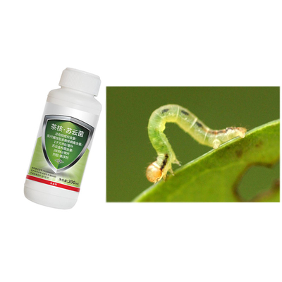 Bt Bacillus Thuringiensis Biological Insecticides Green Tea Pesticides