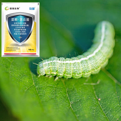 Organic Natural Vegetable Insecticide PrGV WP - Eco-friendly Safe Effective Against Plutella xylostella and Cabbage Worm with Long-lasting Efficacy