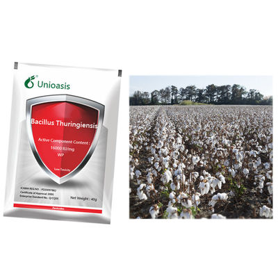 Bacillus Thuringiensis Pesticide Bt WP Insecticide with 16000 IU/mg for Lepidoptera Pest Control in Organic Farming