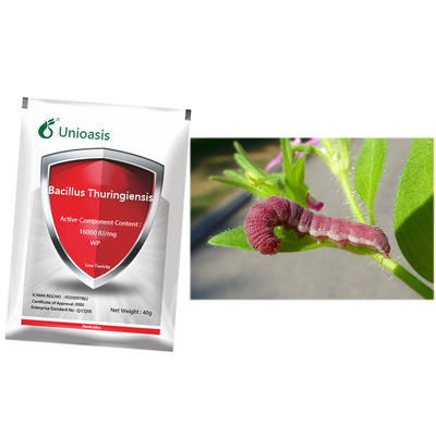 Bacillus Thuringiensis Insecticide with 16000 IU/mg for Lepidoptera Pest Control and Organic Tea Tree Protection