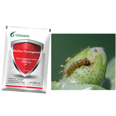 Bacillus Thuringiensis Insecticide with 16000 IU/mg for Lepidoptera Pest Control and Organic Tea Tree Protection