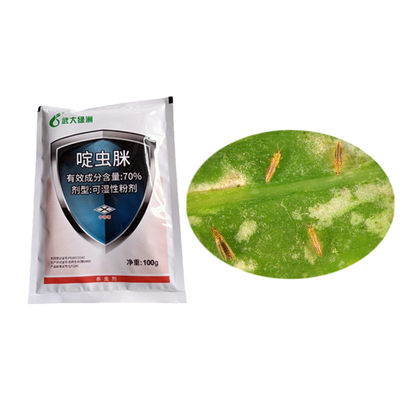 70% Acetamiprid WP Natural Tomato Pesticide For Cabbage Moth