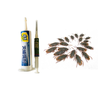 PfDNV Biological german cockroach killer Blackbeetle Attractant Safe For Human And Pets