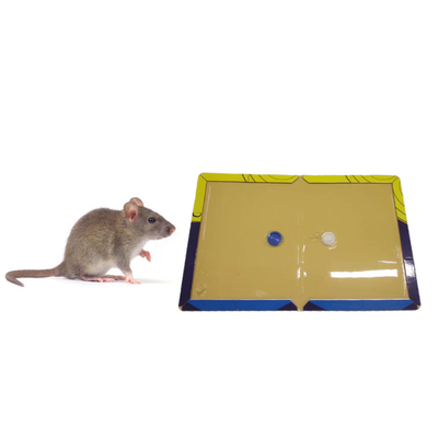 Non Toxic Harmless Super Sticky Mouse Trap Board Catch Rat Home Kitchen Restaurant