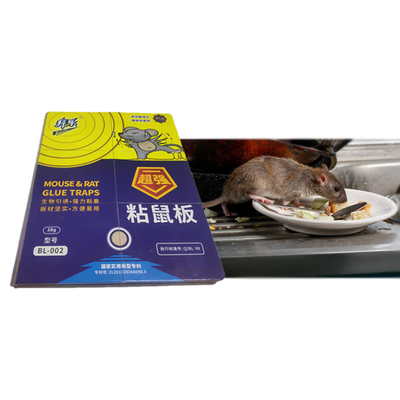 Non Toxic Harmless Super Sticky Mouse Trap Board Catch Rat Home Kitchen Restaurant