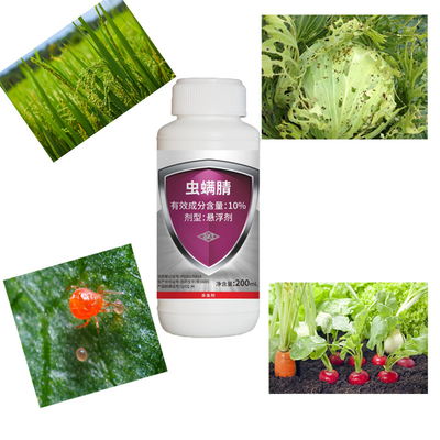 Agricultural 10% Chlorfenapyr SC Rice Crop Pesticides for Lepidoptera Pests