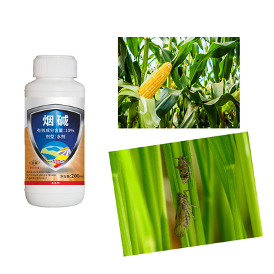 Customized Agrochemical Corn Insecticides Liquid 10% Nicotine