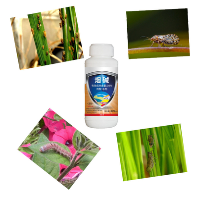 Customized Agrochemical Corn Insecticides Liquid 10% Nicotine