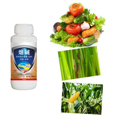 10% Nicotine Brown Planthopper Pesticides Aphid Control Insecticide