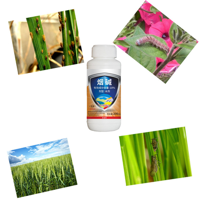 Natural 10% Nicotine AS Cabbage Cotton Crop Pesticides Aphids Planthopper Control