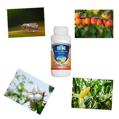 Natural 10% Nicotine AS Cabbage Cotton Crop Pesticides Aphids Planthopper Control