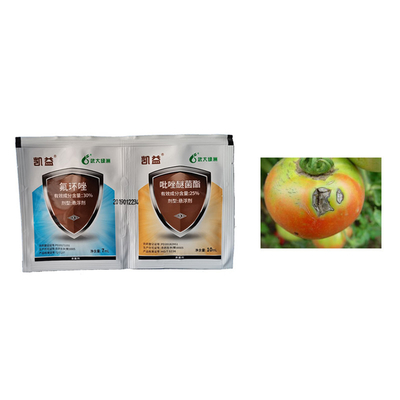 30% Epoxiconazole SC Wheat Rice Biological Fungicide Fungal Diseases Control