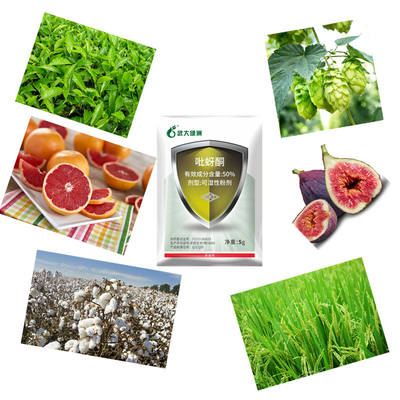 50% Pymetrozine WP Control Fruit And Vegetable Insecticide For Borer