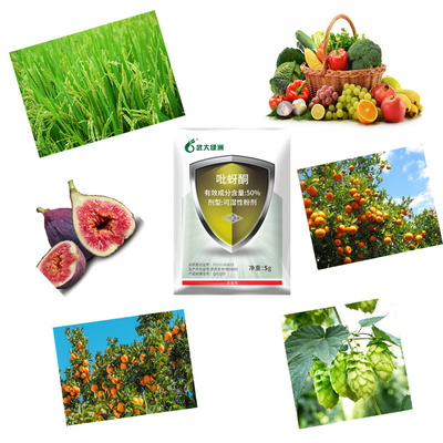 Agricultural Rice Wheat Pesticides 50% Pymetrozine WP Planthopper Aphid Control