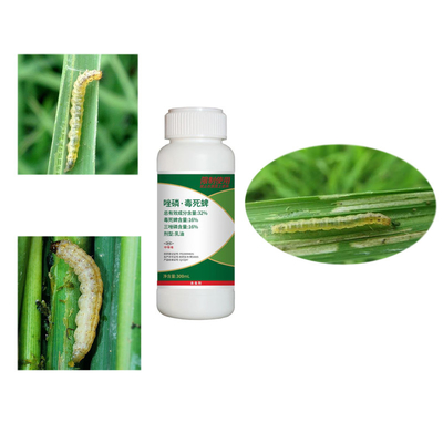Triazophos Chlorpyrifos Paddy Rice Crop Pesticides chemical