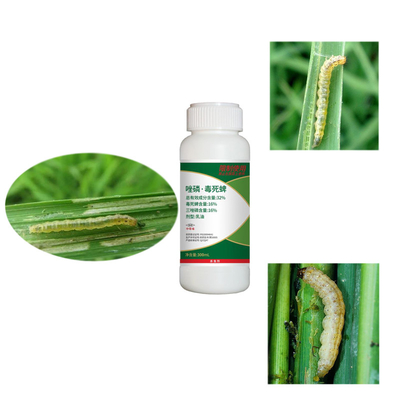 Triazophos Chlorpyrifos Paddy Rice Crop Pesticides chemical