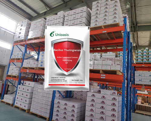 Pure Biological Powder 16000 IU/mg BT Factory Direct Sell Control Vegetables Rice Corn Pests