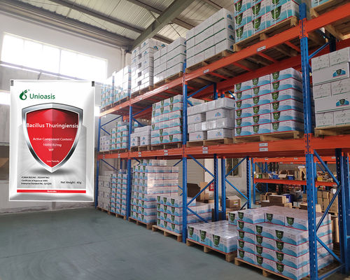 Pure Biological Powder 16000 IU/mg BT Factory Direct Sell Control Vegetables Rice Corn Pests