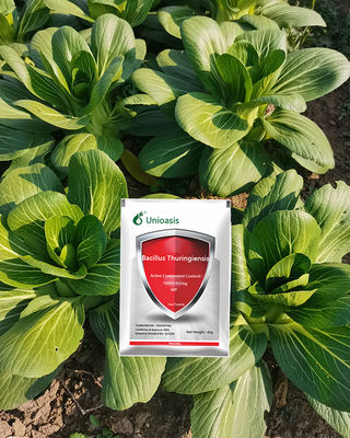 Non Toxic Bacillus Thuringiensis Insecticide with 16000 IU/mg for Wide Insecticidal Spectrum Pest Control