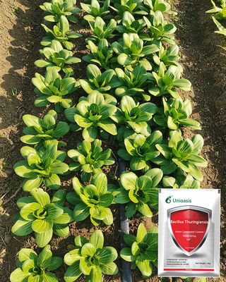 32000iu Bacillus Thuringiensis Insecticide for Cabbage Moth Control with Organic Certification