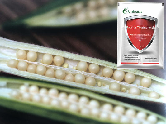 Pure Biological Powder 16000 IU/mg BT Factory Supply Control Vegetables Rice Corn Pests